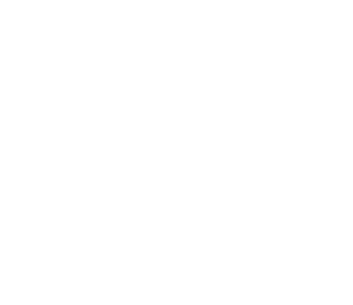 ticket